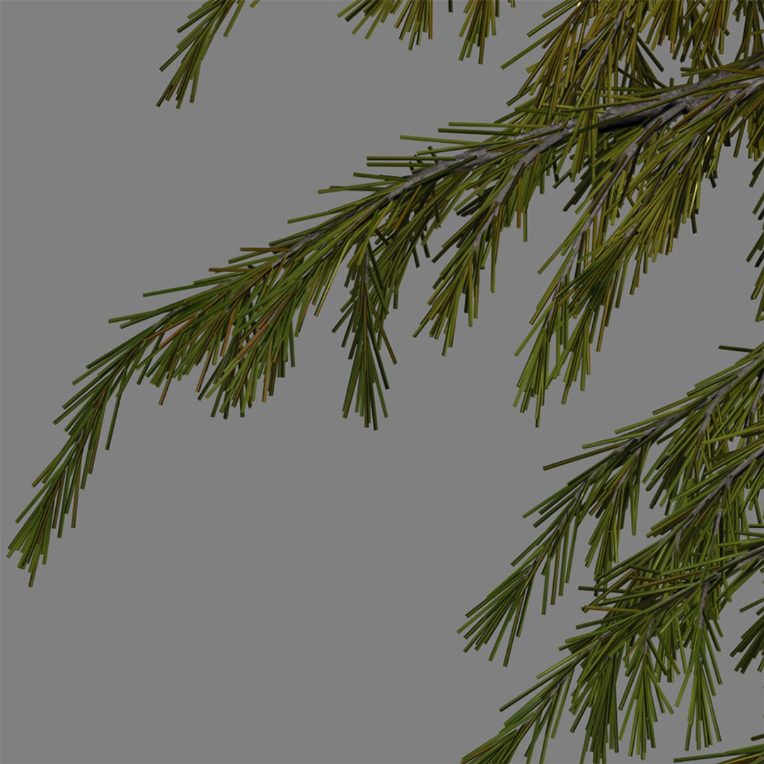 3d tree https://p.turbosquid.com/ts-thumb/fg/RZqh38/LW1AYMfq/wire04/jpg/1454258669/1920x1080/fit_q87/5bf71aa7e11c4293702117ee1038151b88ffd104/wire04.jpg