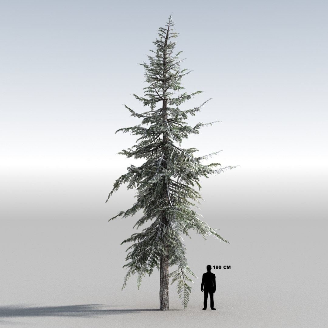 3d tree https://p.turbosquid.com/ts-thumb/fg/RZqh38/WalS5r0T/10mountainhemlock03_0004/jpg/1454258669/1920x1080/fit_q87/750e64761ebafeec4818f52d1fdb335575bc9688/10mountainhemlock03_0004.jpg