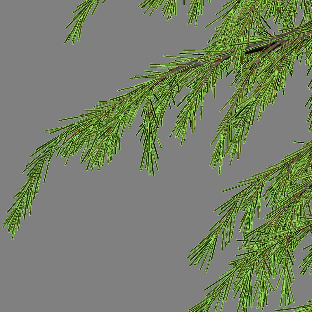 3d tree https://p.turbosquid.com/ts-thumb/fg/RZqh38/lQstSoYt/wire03/jpg/1454258669/1920x1080/fit_q87/00ab22d04bf47464742eeb035a22376029d5b5fe/wire03.jpg