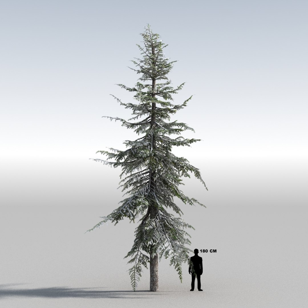 3d tree https://p.turbosquid.com/ts-thumb/fg/RZqh38/vzm934Ge/10mountainhemlock03_0010/jpg/1454258669/1920x1080/fit_q87/9e75f184761c1ee7c742a4e3aa9937a6bda68722/10mountainhemlock03_0010.jpg