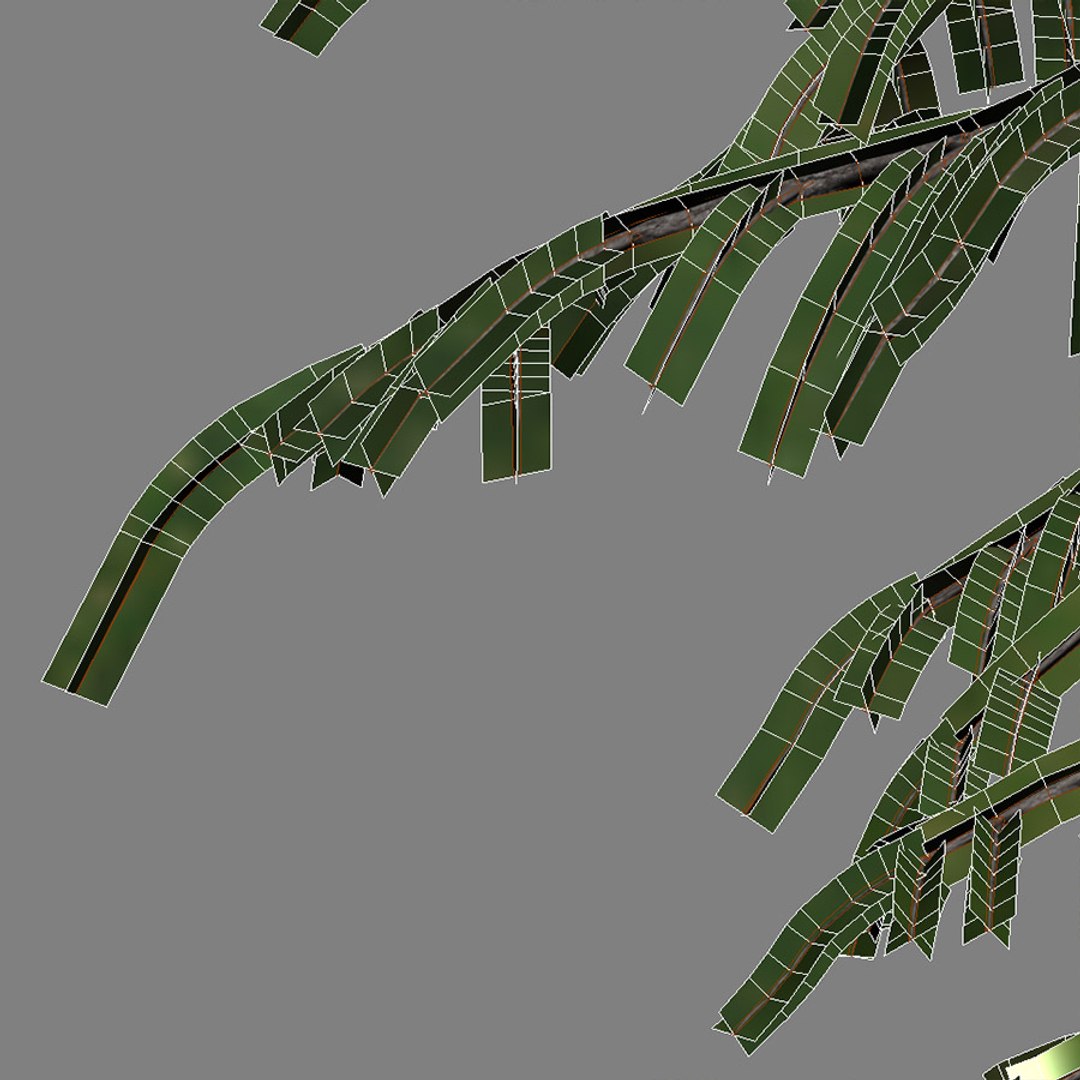 3d tree https://p.turbosquid.com/ts-thumb/fg/RZqh38/xZeEMwVu/wire02/jpg/1454258669/1920x1080/fit_q87/21836fe3740b509667b0f9d2b62567f1af02e71d/wire02.jpg