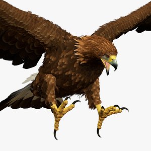 Golden Eagle Attacking