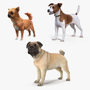 3D dogs 2