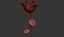 Animación de crecimiento de flor de rosa
