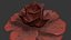 Animación de crecimiento de flor de rosa
