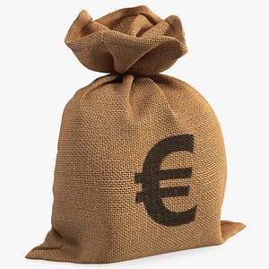 3D Euro Currency Sack