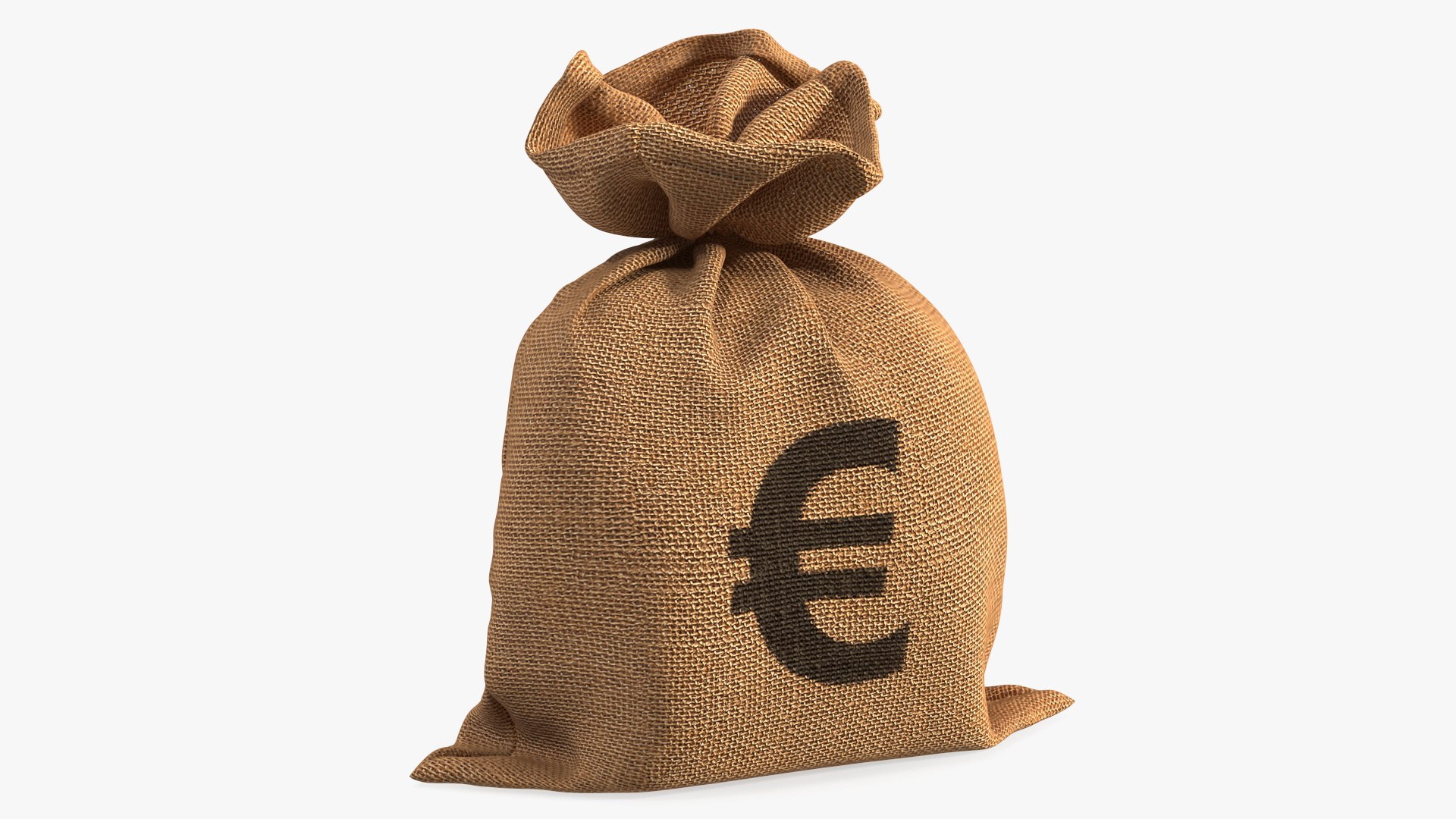Euro Currency Sack 3D model preview