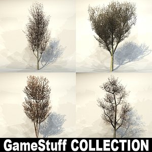 Tree 3D Models for Download | TurboSquid