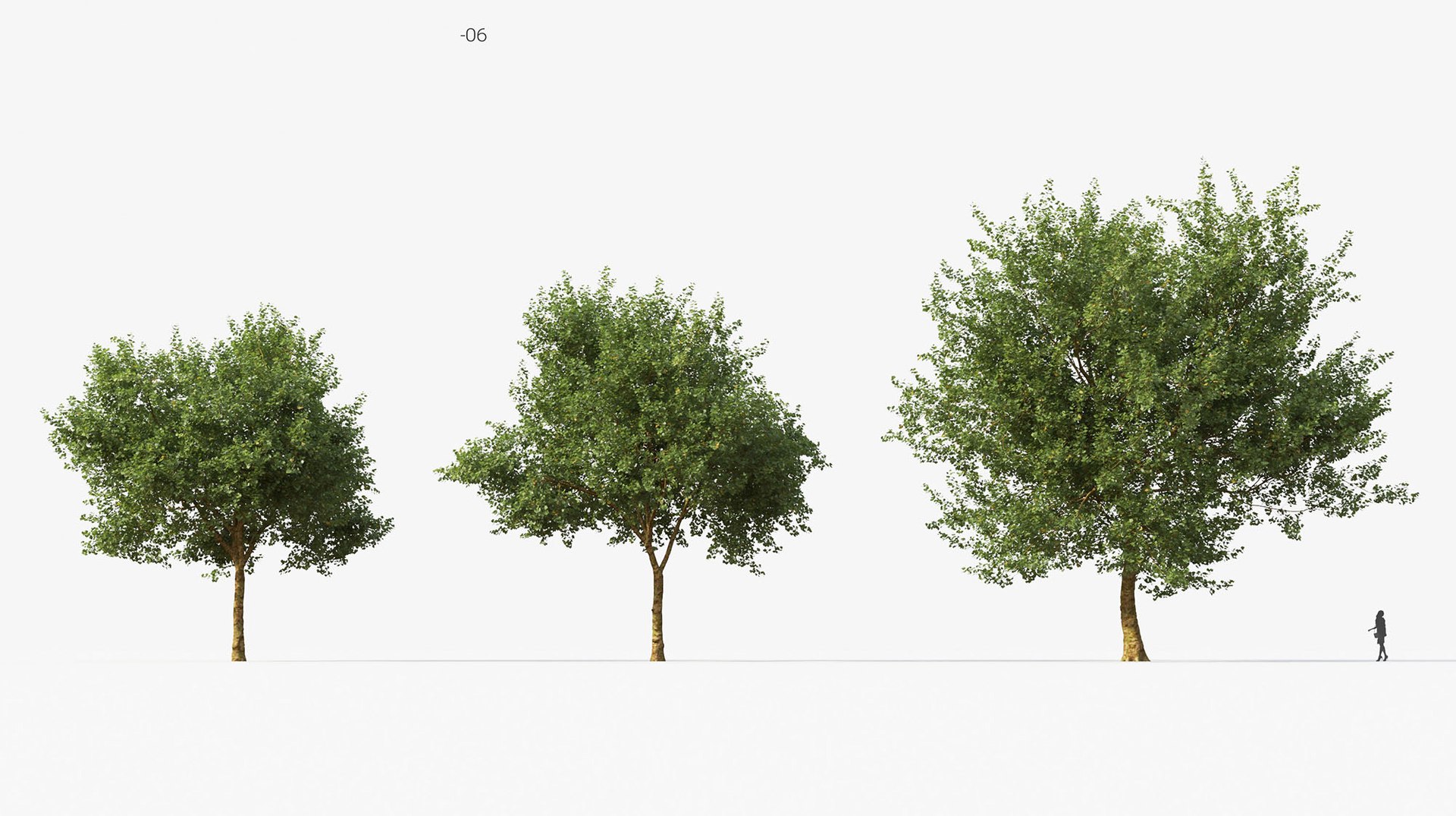 Tree Includes Growfx Files 3D Model - TurboSquid 1650668