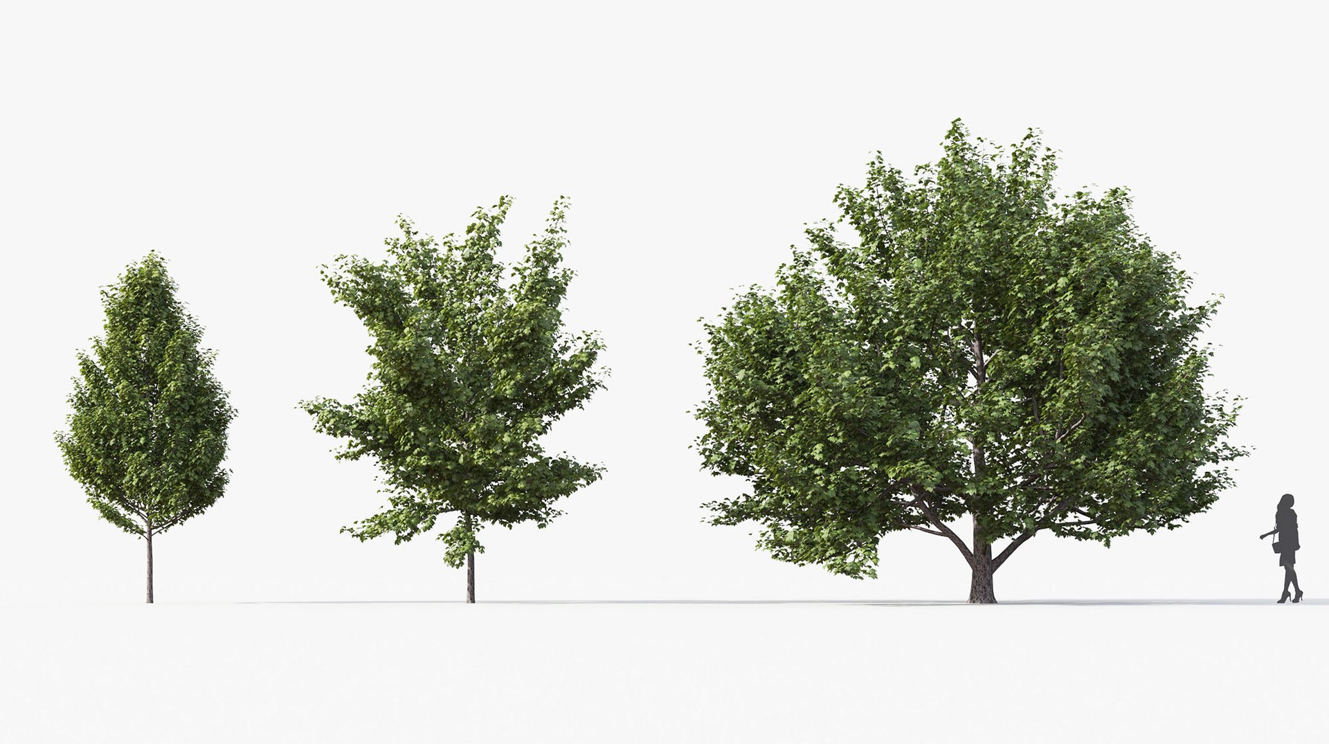 Tree Includes Growfx Files 3D Model - TurboSquid 1650668