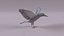 North American birds 3D model
