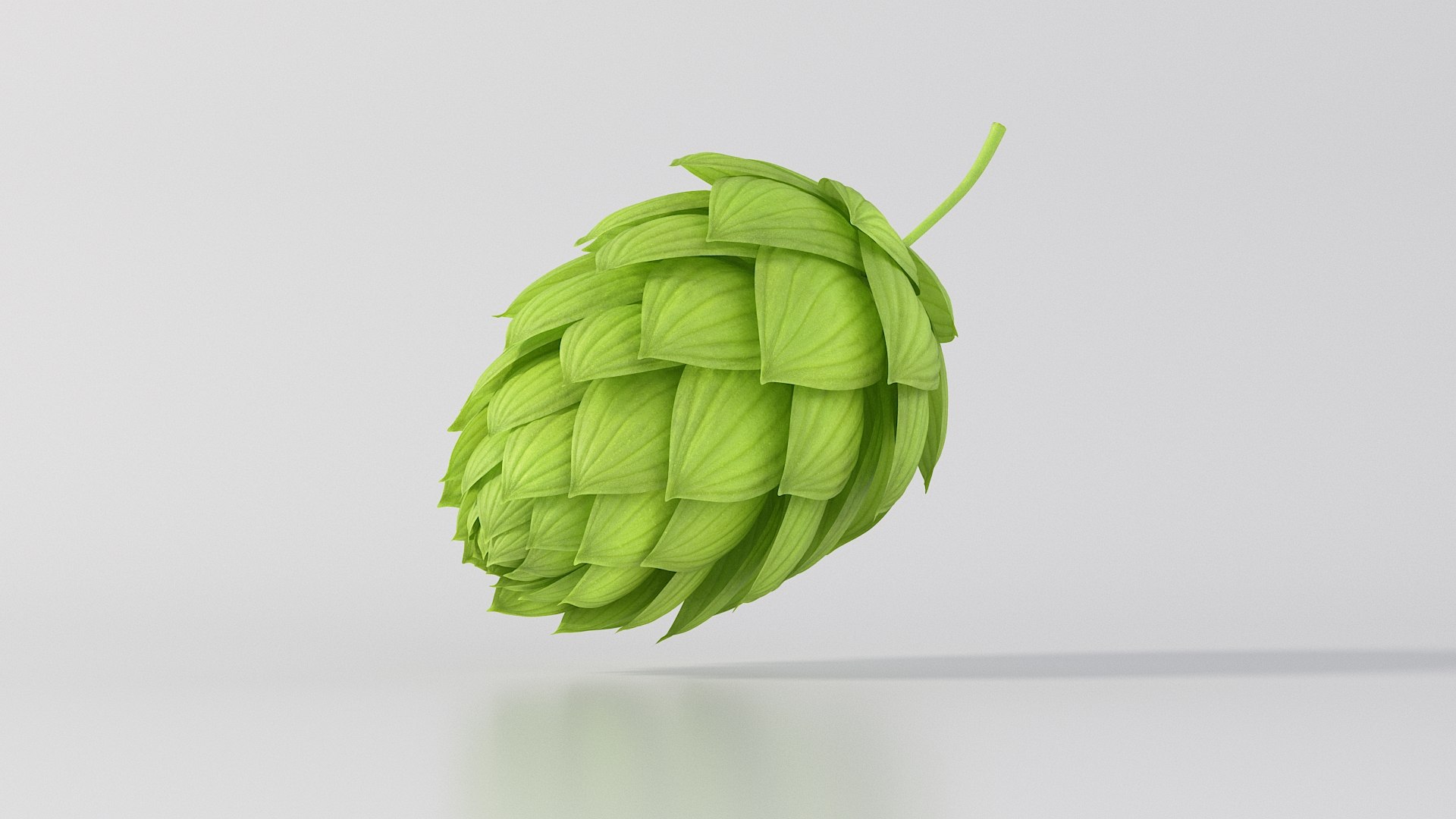 - vol 3 fruits obj https://p.turbosquid.com/ts-thumb/fh/EE2Ncg/09/nmodel_03_51_hops_02/jpg/1776087544/1920x1080/fit_q87/5cfbcc21057bc06a0ef7c90098e022cbbc158641/nmodel_03_51_hops_02.jpg