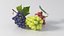 NICEMODELS Vol 3 - Fruits and Vegetables
