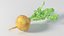 NICEMODELS Vol 3 - Fruits and Vegetables