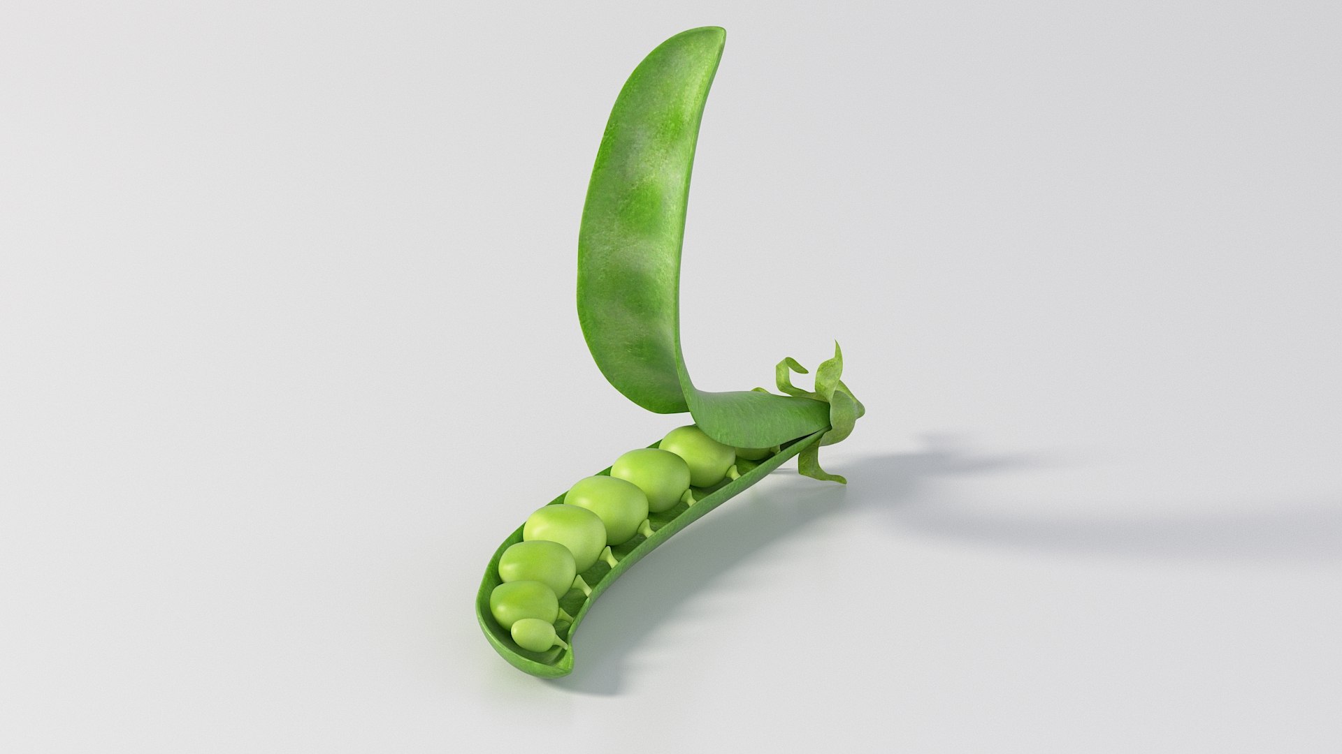 - vol 3 fruits obj https://p.turbosquid.com/ts-thumb/fh/EE2Ncg/ZC/nmodel_03_30_peas_02/jpg/1776087513/1920x1080/fit_q87/6178c86086ab2c52f2b6eb41aba00719f9d59698/nmodel_03_30_peas_02.jpg