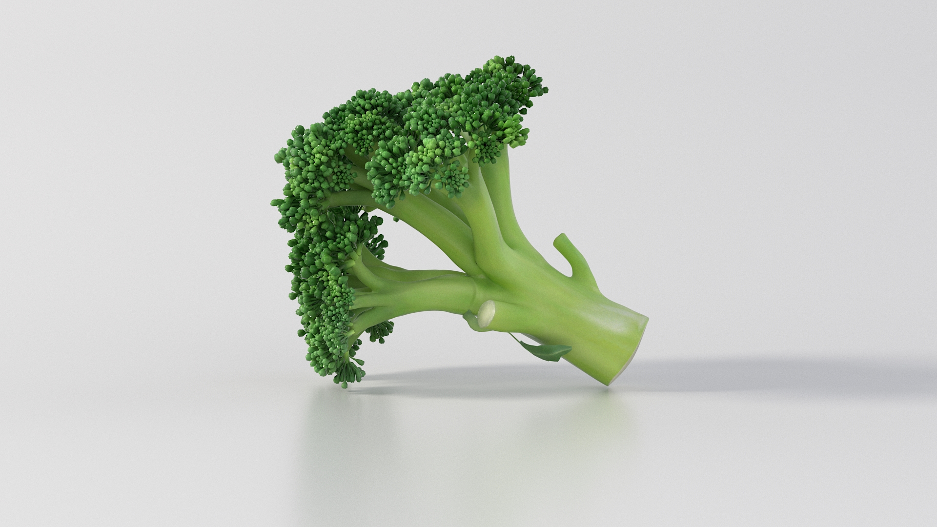 - vol 3 fruits obj https://p.turbosquid.com/ts-thumb/fh/EE2Ncg/gR/broccolitba/jpg/1776090273/1920x1080/turn_fit_q99/fabbaccb447979d39c00f65137d230a9a713e5ac/broccolitba-1.jpg
