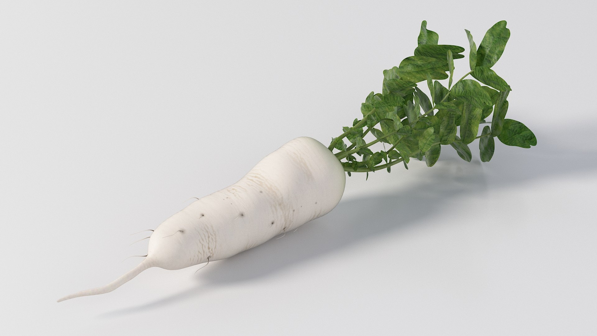 - vol 3 fruits obj https://p.turbosquid.com/ts-thumb/fh/EE2Ncg/s2/nmodel_03_45_radish_white_02/jpg/1776087537/1920x1080/fit_q87/d95ec6969fa55f74f00ec8bef52bc86ac0e373ec/nmodel_03_45_radish_white_02.jpg