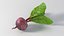NICEMODELS Vol 3 - Fruits and Vegetables