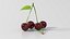 NICEMODELS Vol 3 - Fruits and Vegetables