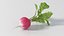 NICEMODELS Vol 3 - Fruits and Vegetables