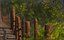 Fantasy Jungle Pedestrian Bridge