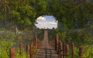 Fantasy Jungle Pedestrian Bridge