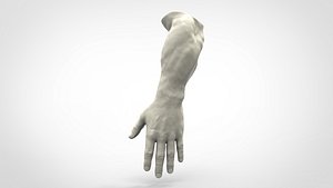 3D Realistic Human Hand model