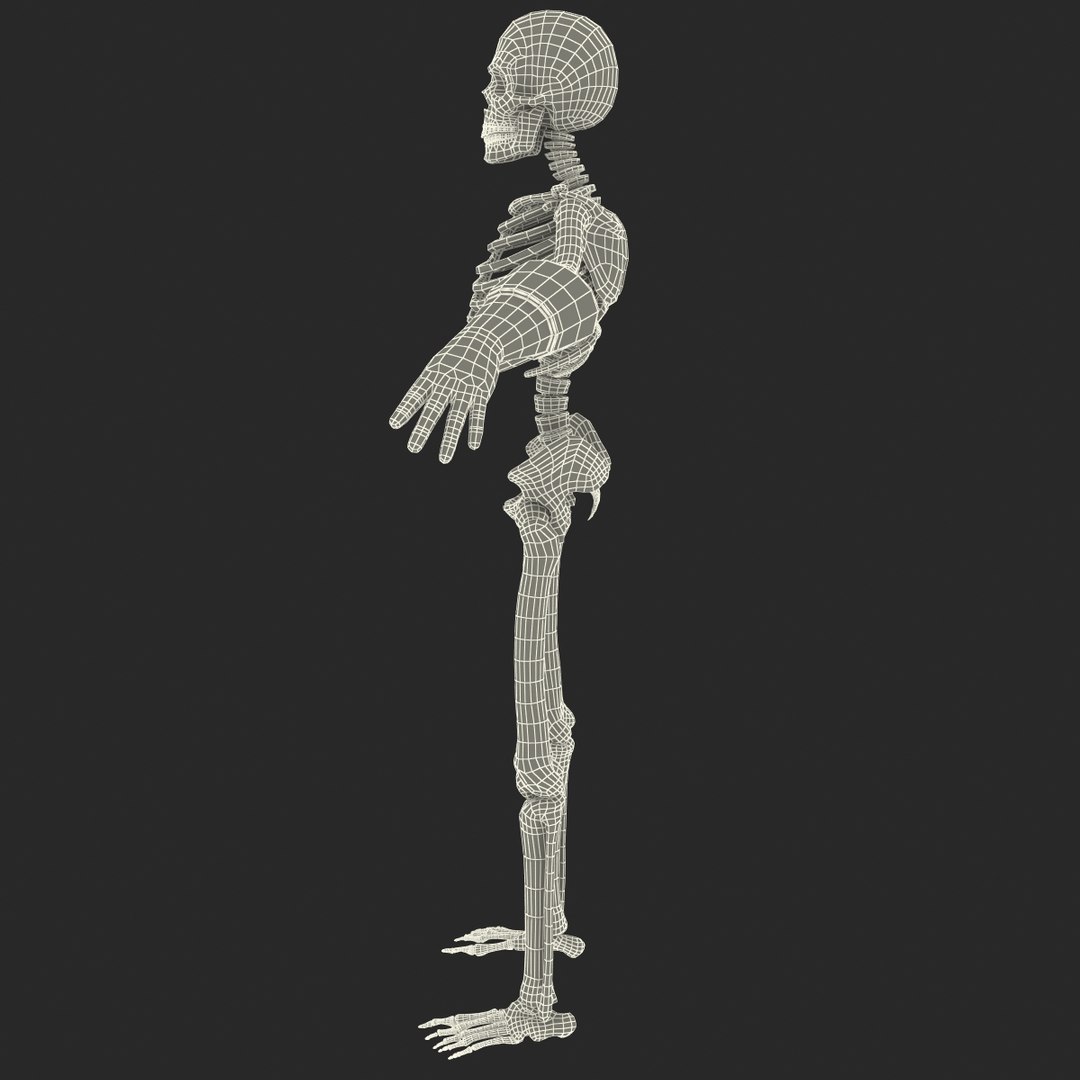 Cartoon Skeleton 2 Max