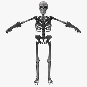 cartoon skeleton 2 max