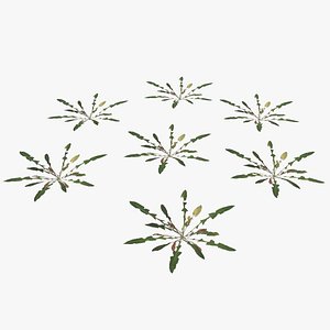 plant lawn 3D