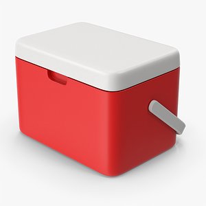 Red Plastic Ice Cooler Box