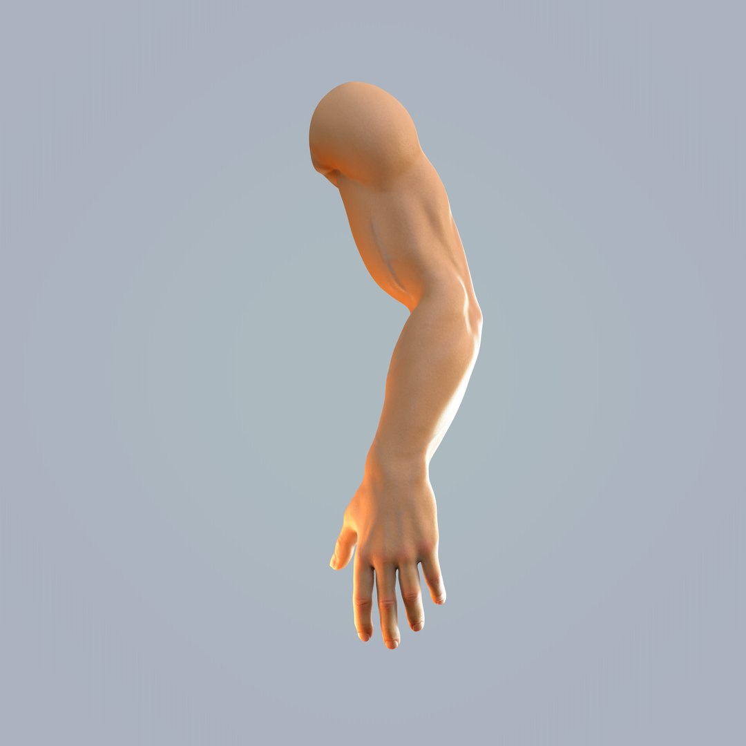 Hand Anatomy Man Rig Model - TurboSquid 1600018