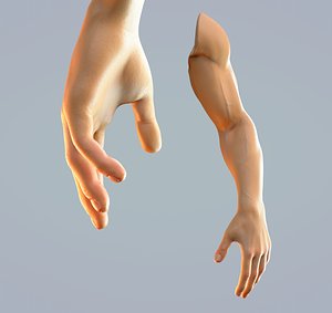 hand anatomy man rig model