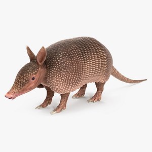 3D Armadillo Pink Rigged for Maya model