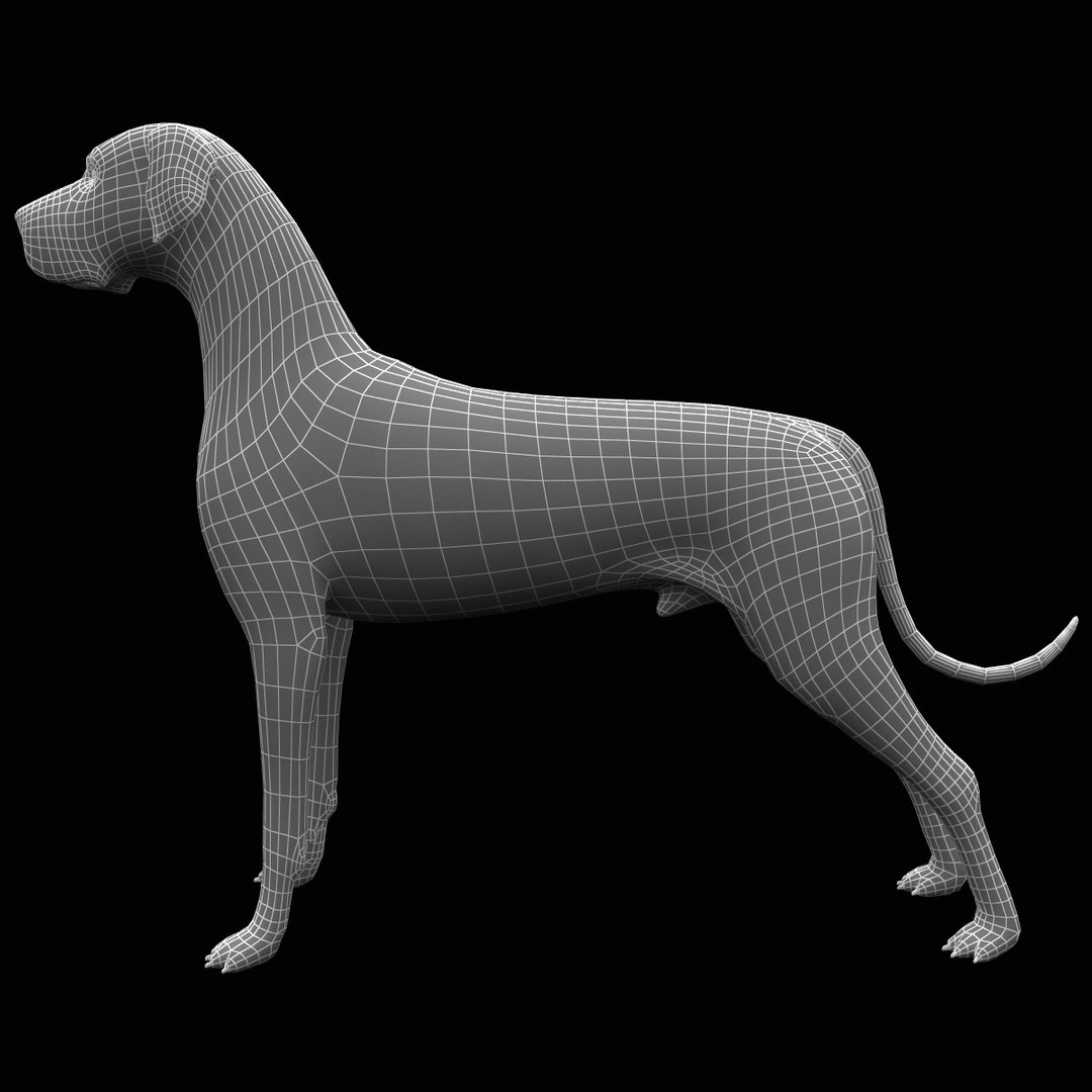 3d Model Great Dane Dog