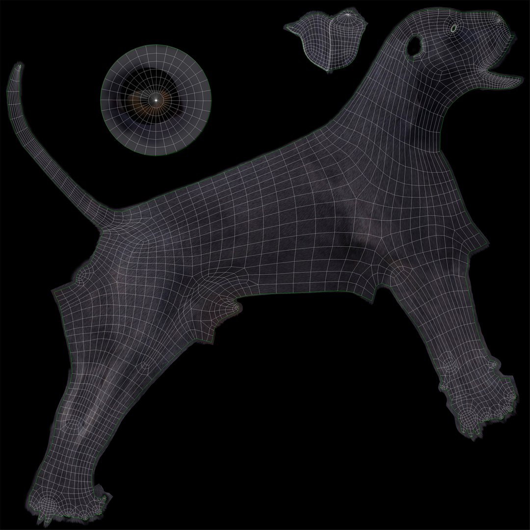 3d Model Great Dane Dog