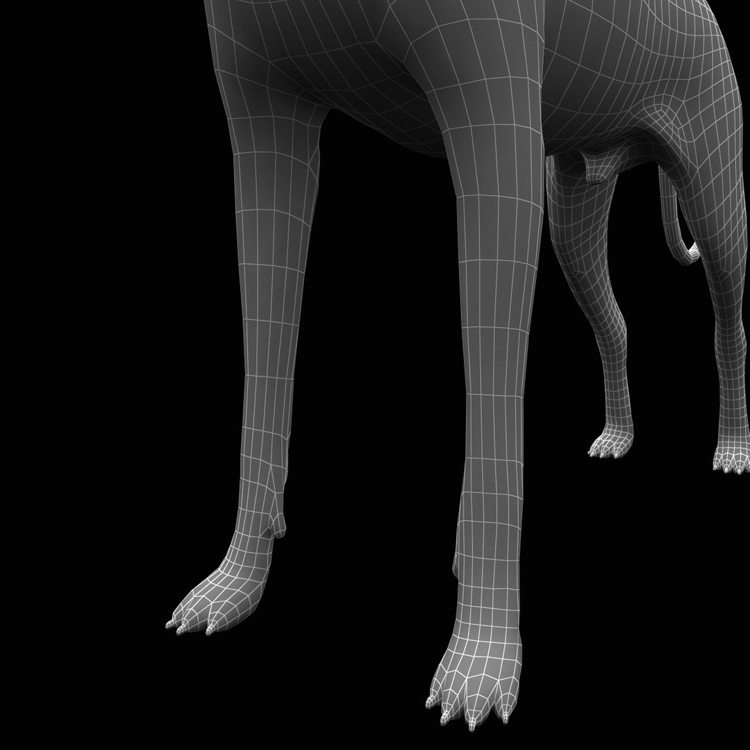 3d Model Great Dane Dog