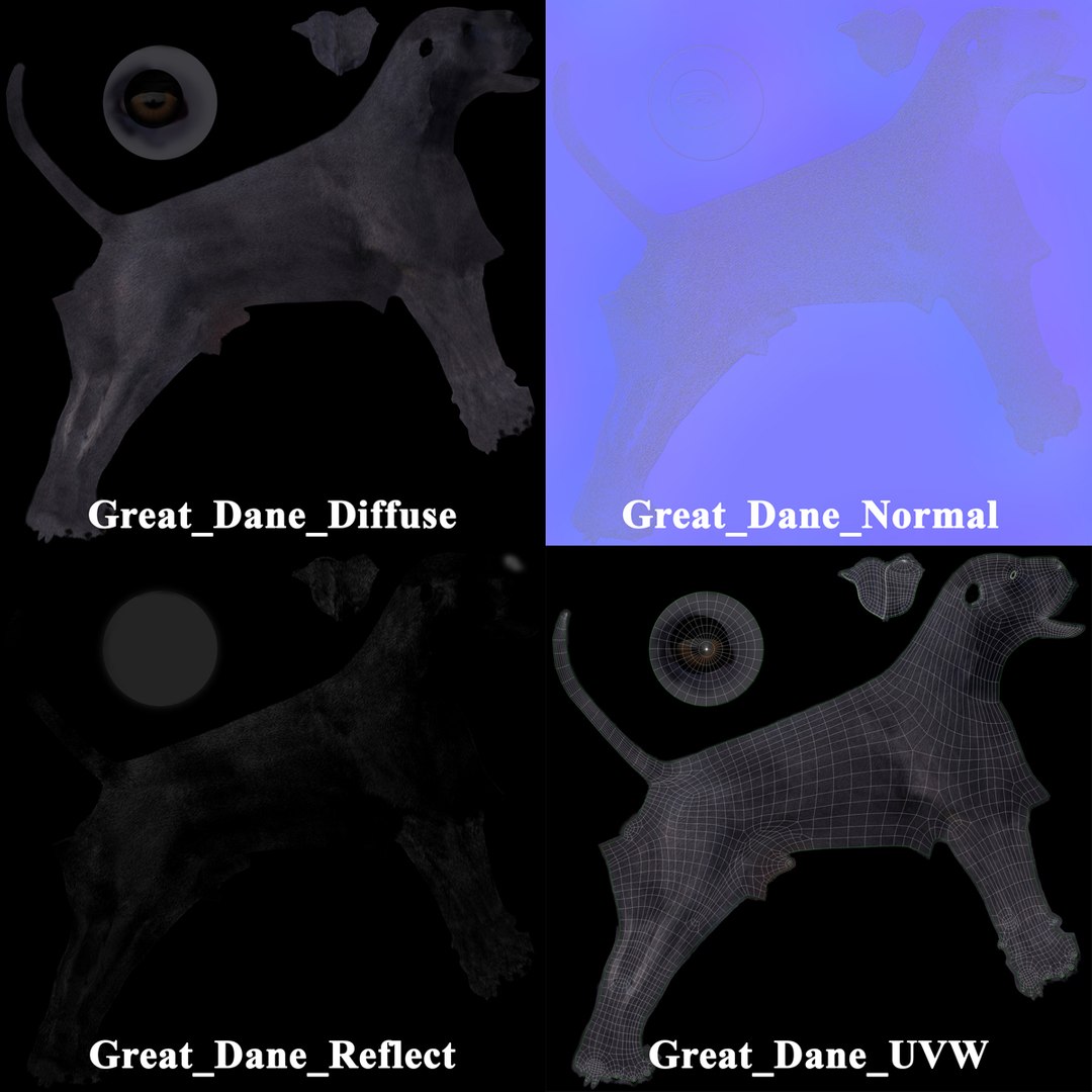 3d Model Great Dane Dog