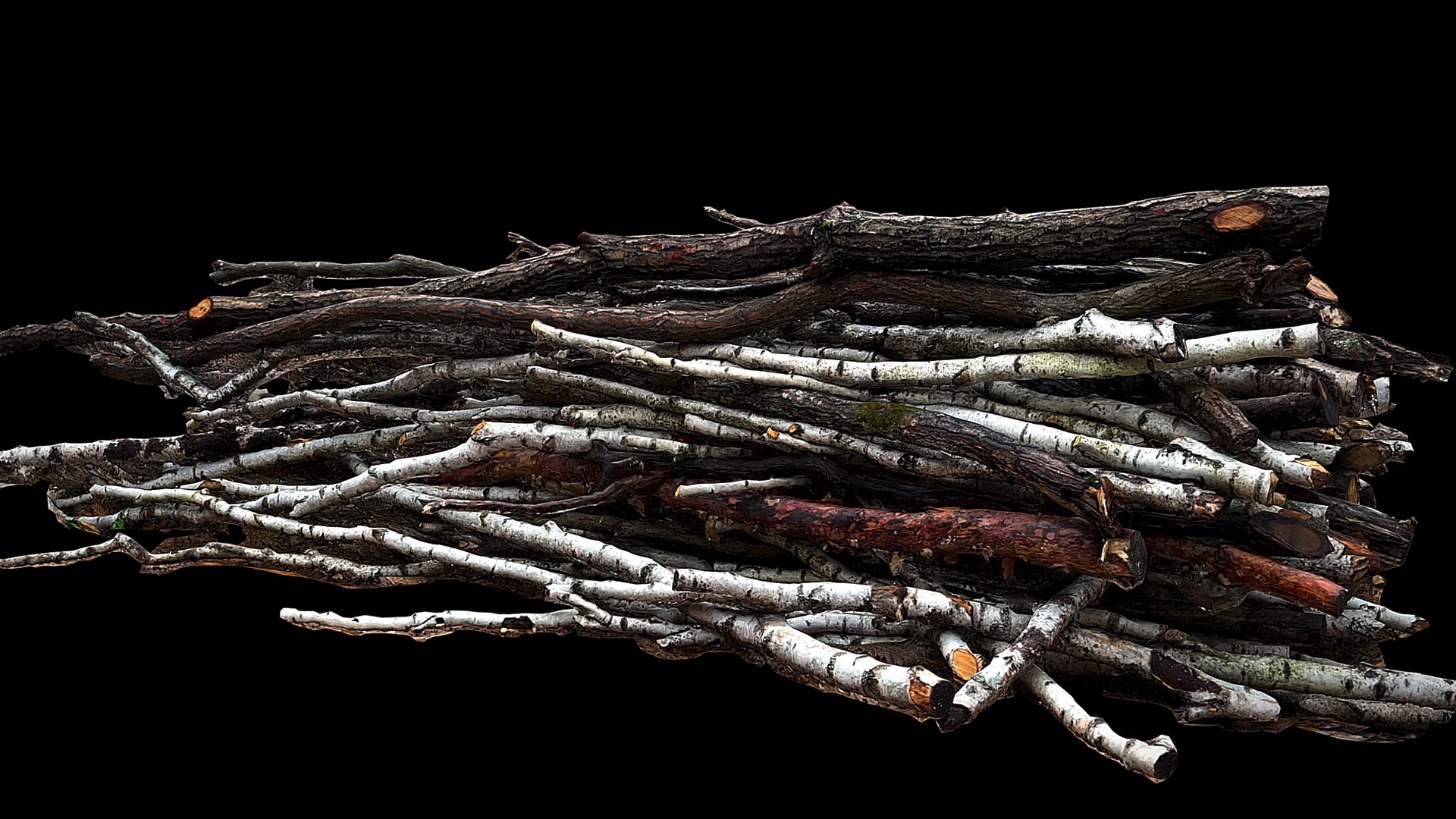 Wood Branches Forest Side Part2 Photogrammetry 3D Model - TurboSquid ...