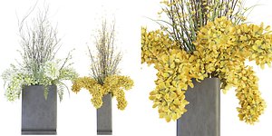 3D model Collection plant vol 56 - blender model