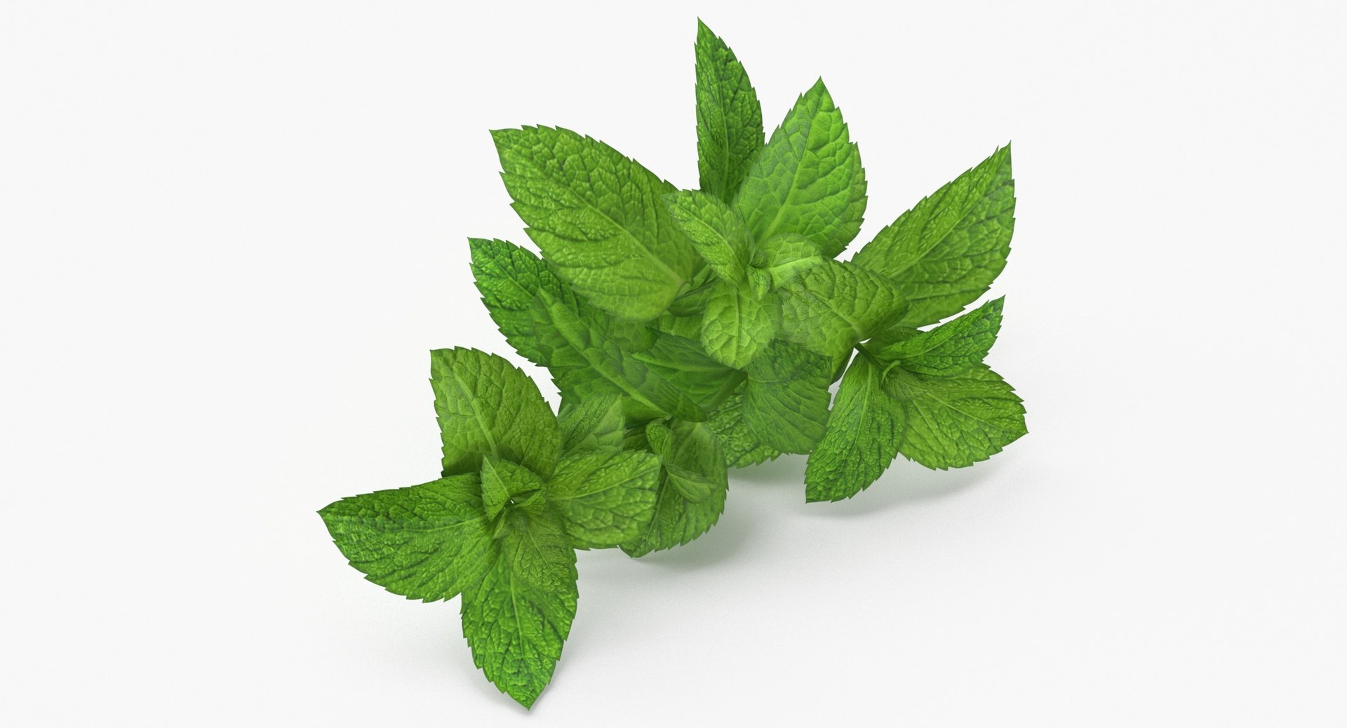 3D Prop 13 Mint Sprigs Type 01 TurboSquid 2145481