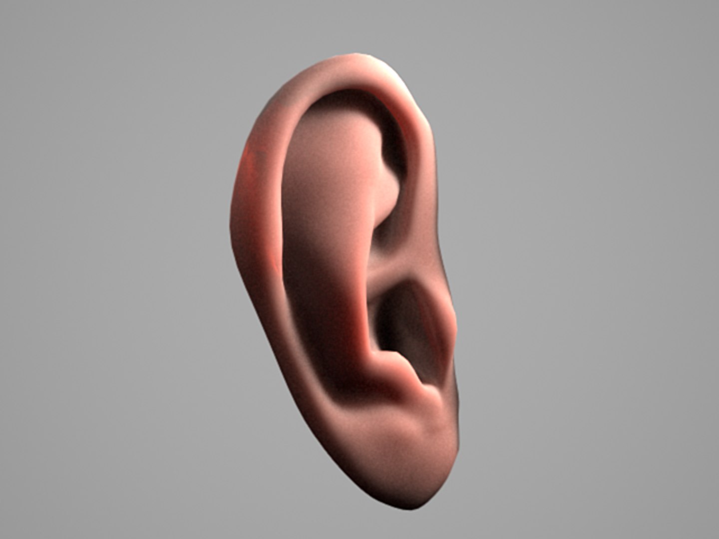 3d model photoreal human ear https://p.turbosquid.com/ts-thumb/fi/AWZCCP/pOa2etGo/humanear_shaded_v002/png/1253902527/1920x1080/fit_q87/28b345d2edb363c04e39d030238517812a6aa24f/humanear_shaded_v002.jpg
