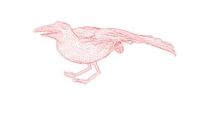 3D model seagull