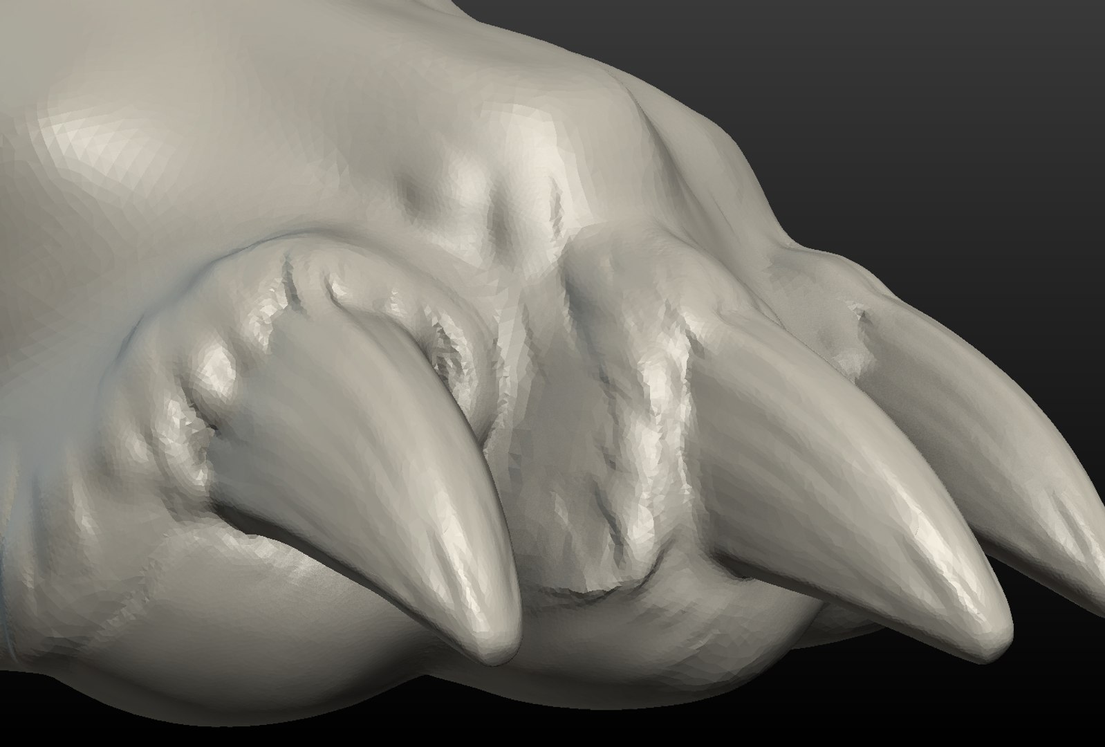 3D model wolf hind paw https://p.turbosquid.com/ts-thumb/fi/D7p02d/9pMsjRXl/wolf_hind_paw010/png/1514557545/1920x1080/fit_q87/05d90d56765e578d296d9e49ab6680b985d0817c/wolf_hind_paw010.jpg