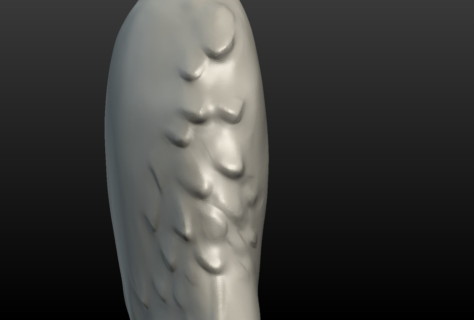 3D model wolf hind paw https://p.turbosquid.com/ts-thumb/fi/D7p02d/A92BZ5pR/wolf_hind_paw014/png/1514557545/1920x1080/fit_q87/9bbaafae03c0685227e75e6ced2d30c49d0226c4/wolf_hind_paw014.jpg