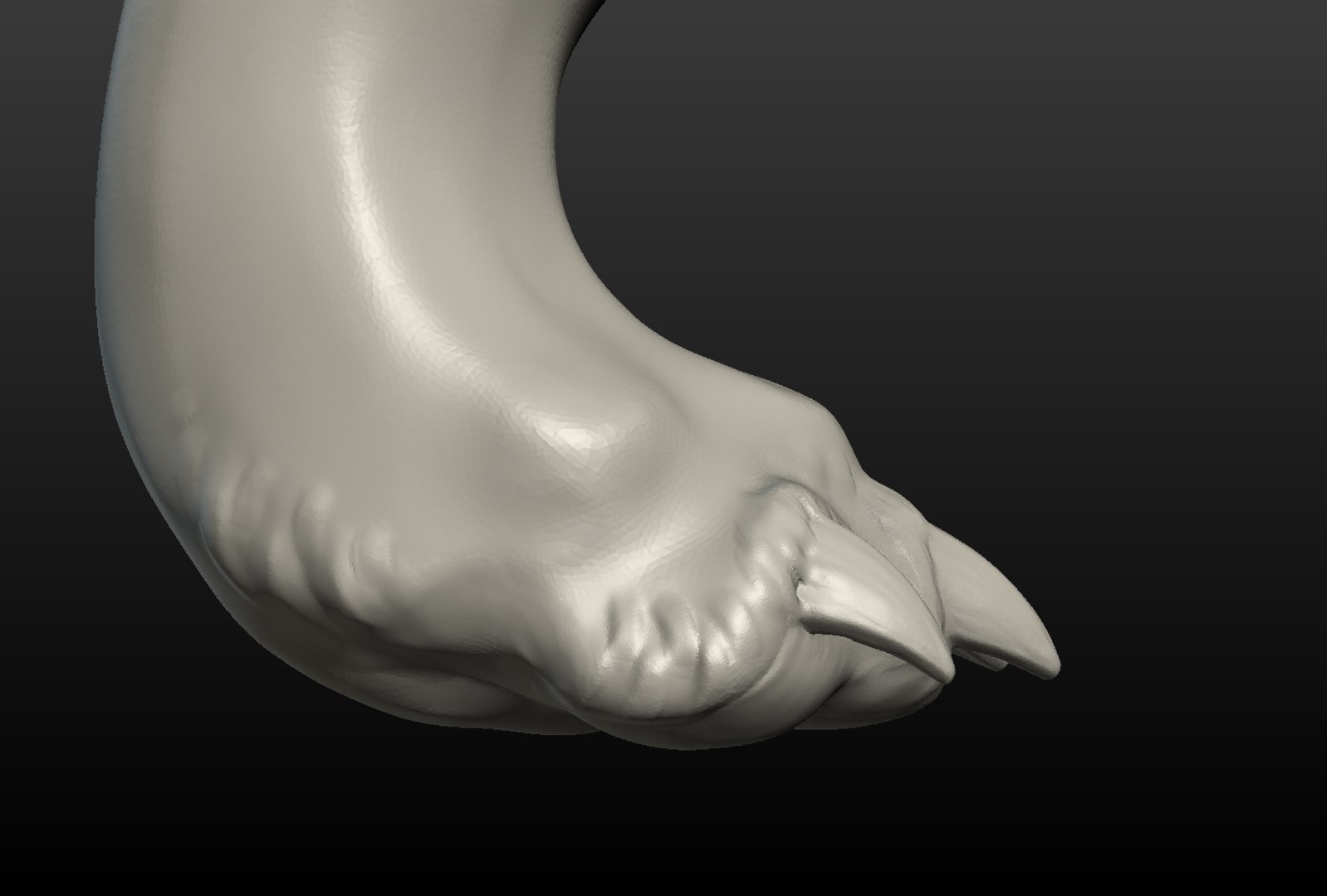 3D model wolf hind paw https://p.turbosquid.com/ts-thumb/fi/D7p02d/LZBVVkup/wolf_hind_paw009/png/1514557545/1920x1080/fit_q87/df004f2331d638547f3d44045e4abca314130700/wolf_hind_paw009.jpg