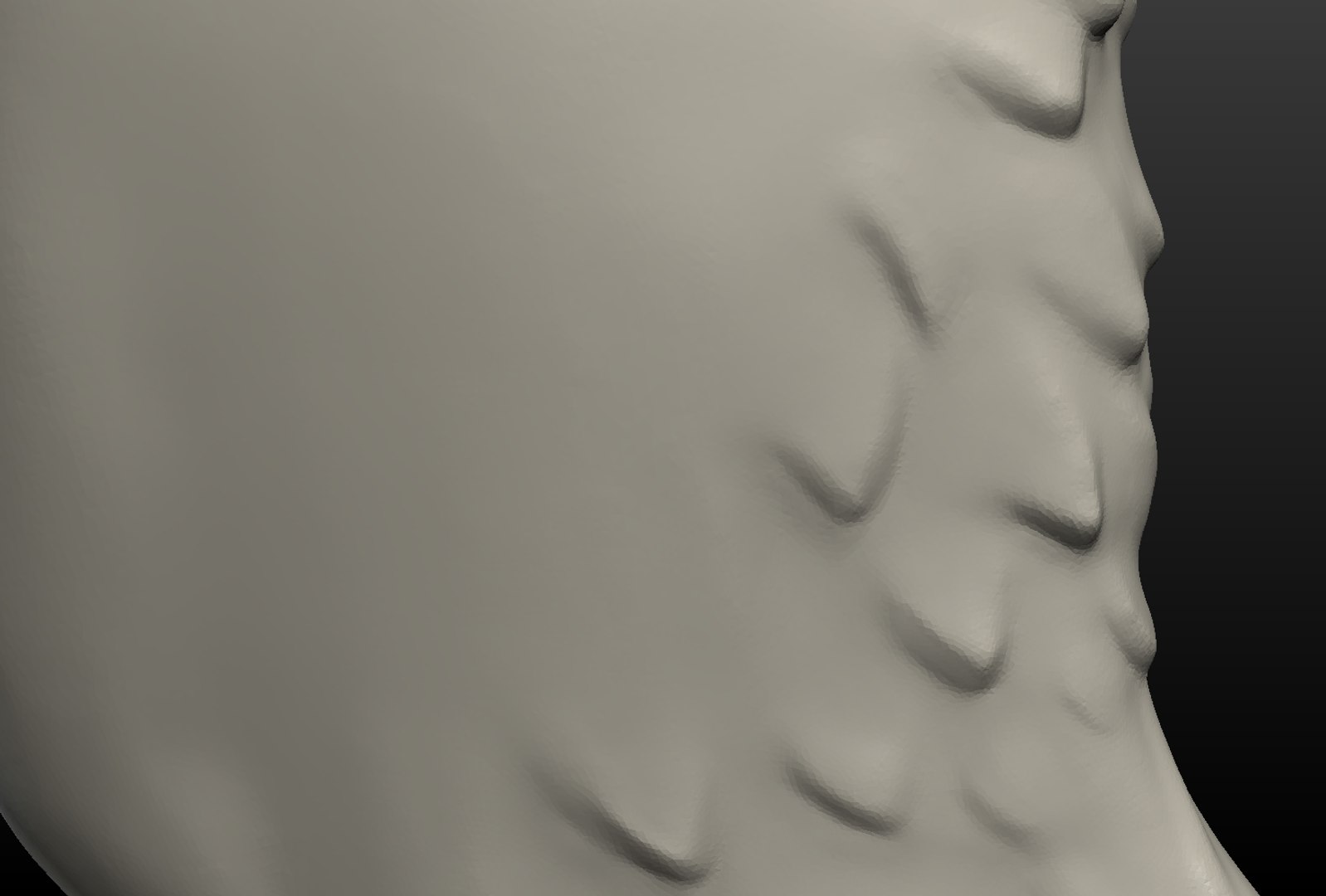 3D model wolf hind paw https://p.turbosquid.com/ts-thumb/fi/D7p02d/MrexLqBp/wolf_hind_paw013/png/1514557545/1920x1080/fit_q87/8a7f857d99a01613c1a0c5cdb86c6ff676df1d25/wolf_hind_paw013.jpg