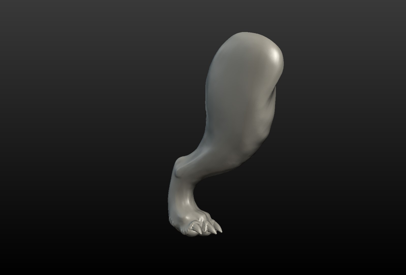 3D model wolf hind paw https://p.turbosquid.com/ts-thumb/fi/D7p02d/R27Njmr9/wolf_hind_paw003/png/1514557545/1920x1080/fit_q87/656a65dda42caa8c6fdf1f3310af0aaf24766140/wolf_hind_paw003.jpg