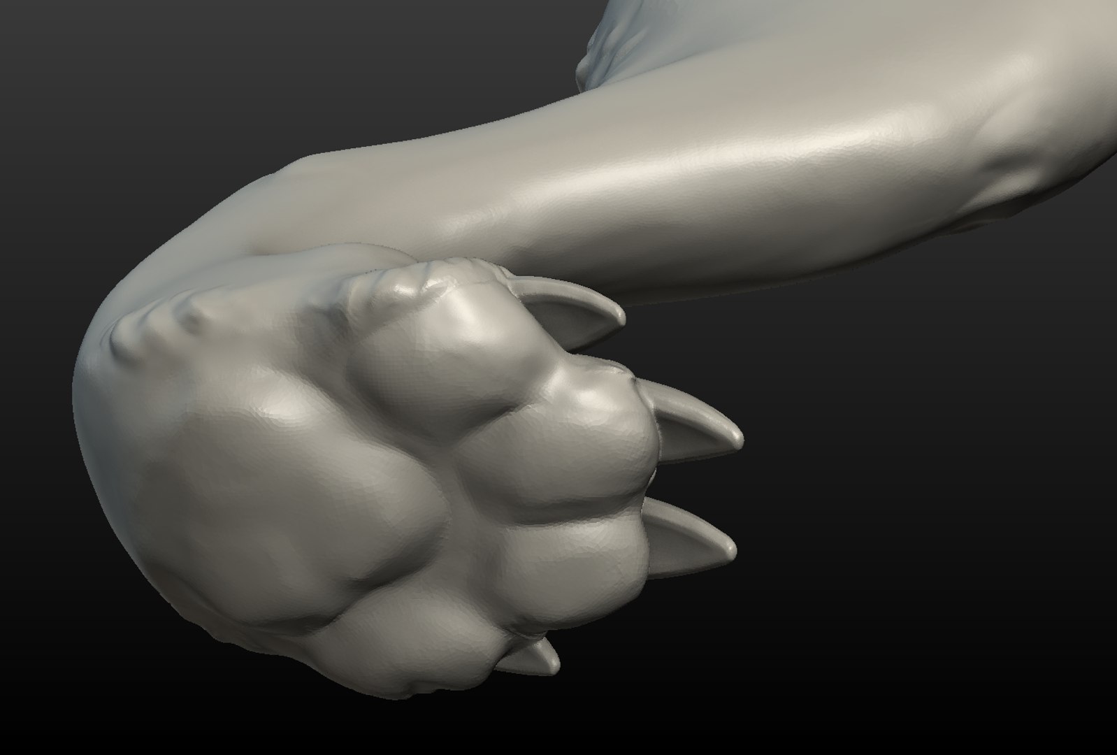 3D model wolf hind paw https://p.turbosquid.com/ts-thumb/fi/D7p02d/bMGbfUj6/wolf_hind_paw008/png/1514557545/1920x1080/fit_q87/6a22d9b2de7b53b7135b6e5700b666a90cccc4d1/wolf_hind_paw008.jpg