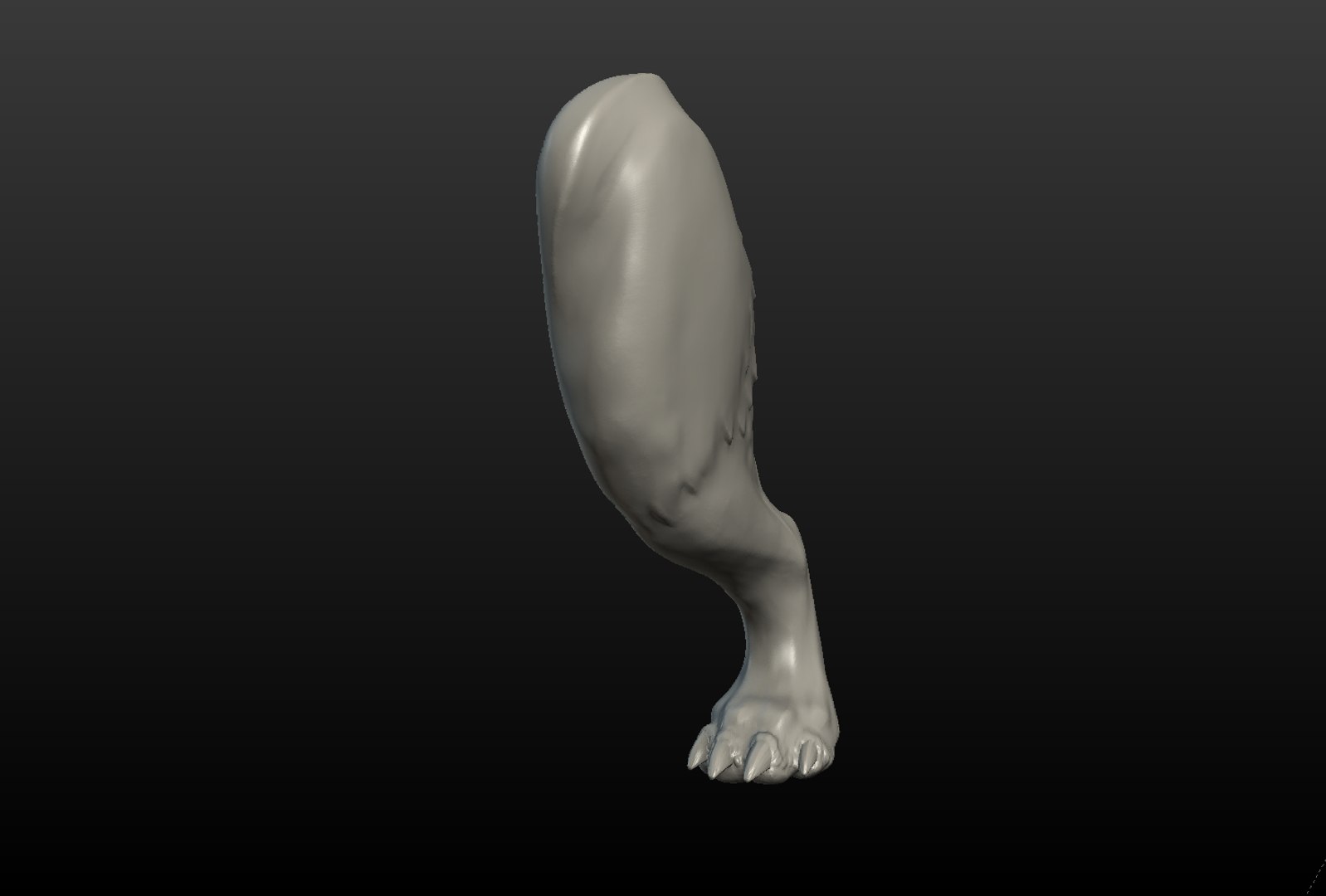 3D model wolf hind paw https://p.turbosquid.com/ts-thumb/fi/D7p02d/crj9ublC/wolf_hind_paw002/png/1514557545/1920x1080/fit_q87/0fbede9ac82628bf077347d59c0c53f59fbc5a3e/wolf_hind_paw002.jpg